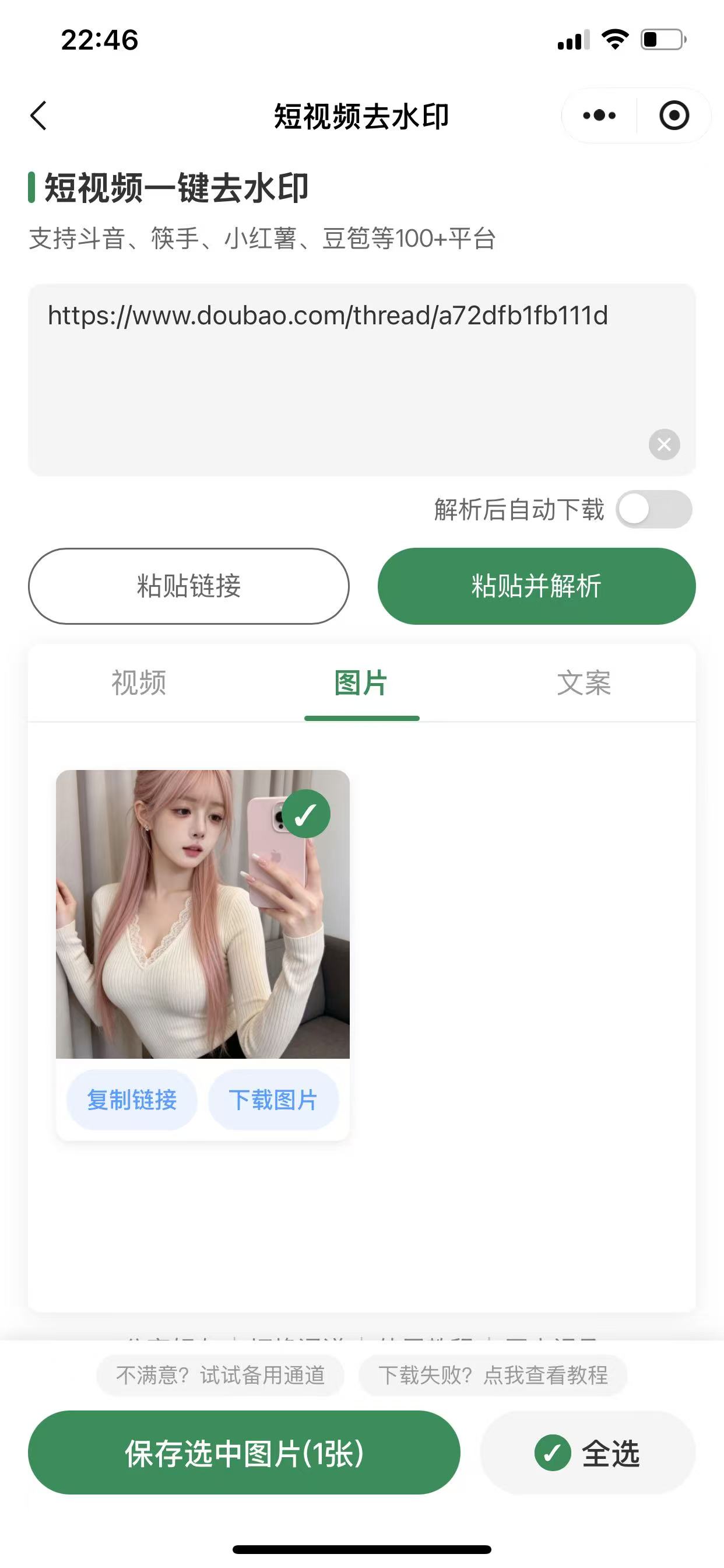 豆包图片去水印教程第 4 步:粘贴链接开始解析