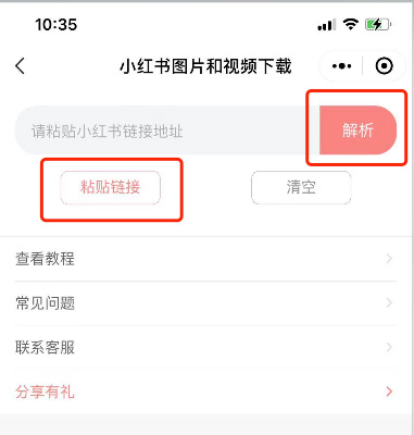 小红书视频去水印教程第 3 步:粘贴链接开始解析